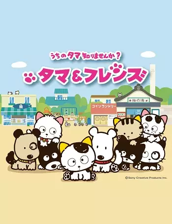 Tama & Friends: Uchi no Tama Shirimasen ka? poster
