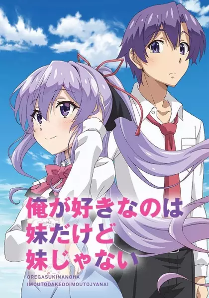 My Sister, My Writer poster