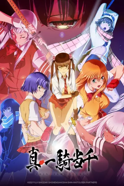 Shin Ikki Tousen poster