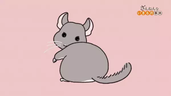 Encyclopedia of Pitiful Creatures (2021) poster