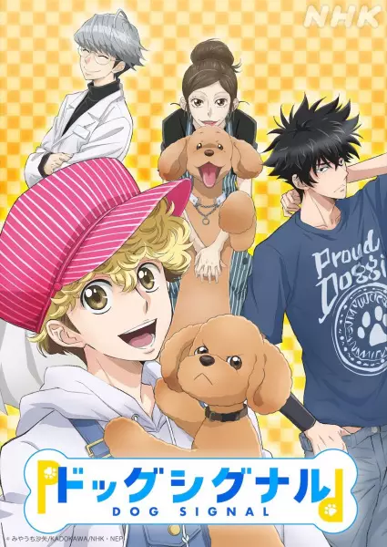 Dog Signal poster