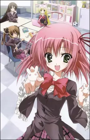 Student Council's Discretion poster