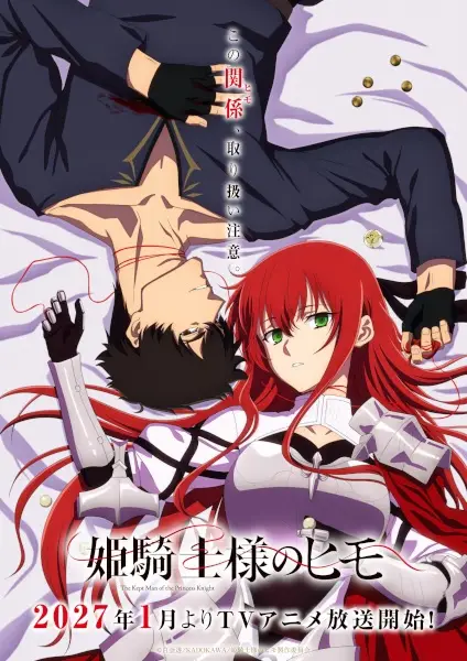 Himekishi-sama no Himo poster
